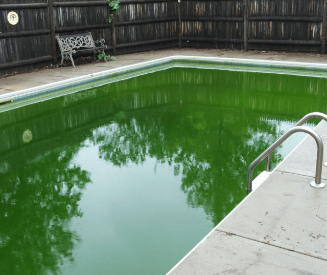 Piscine Verte